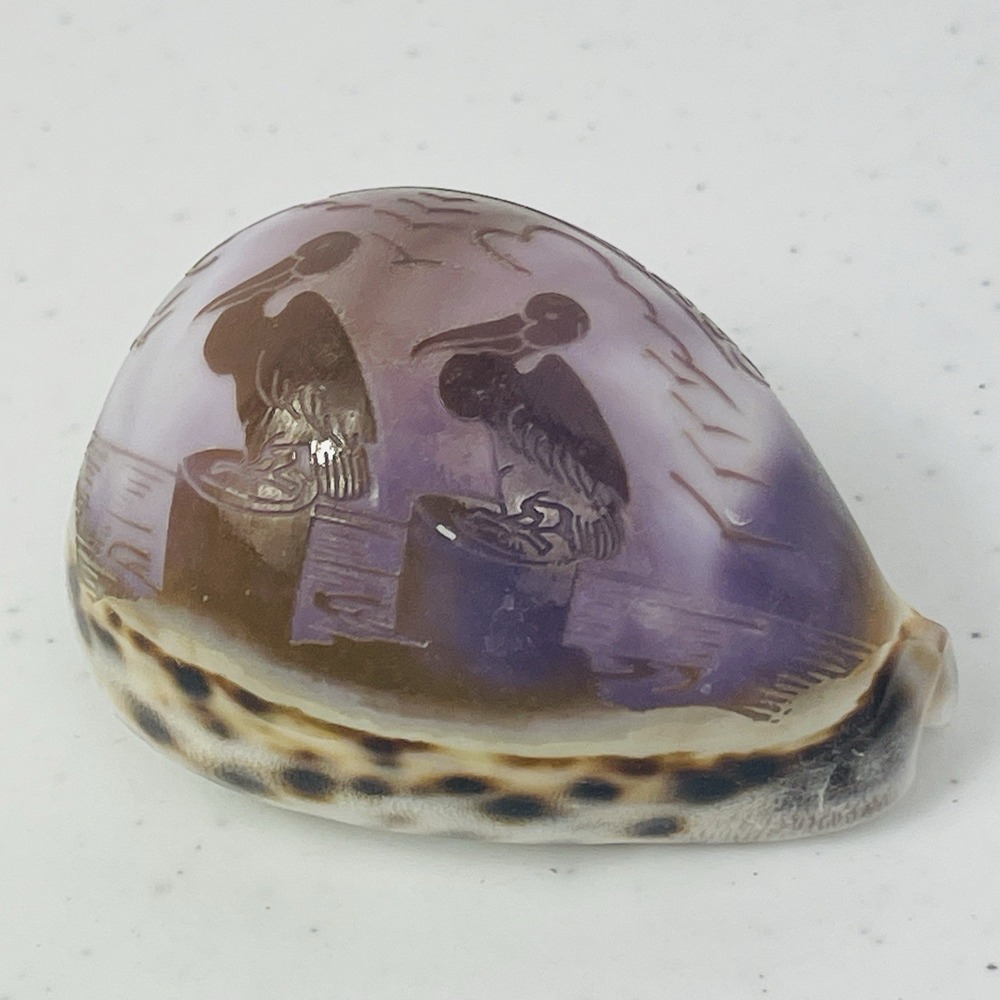 Vintage Seal Key Largo Souvenir Carved Tiger Cowrie Shell - Picture 2 of 12